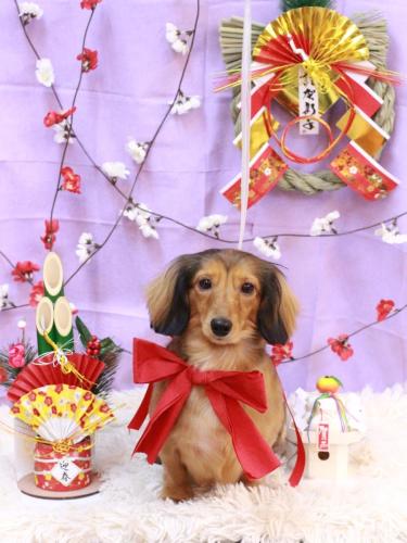 20230112めいちゃん